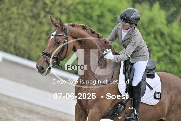ZZL 9353
