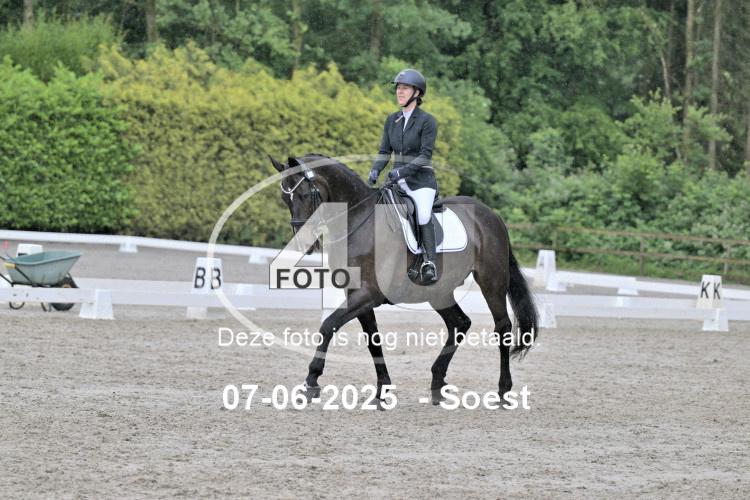 ZZL 9361