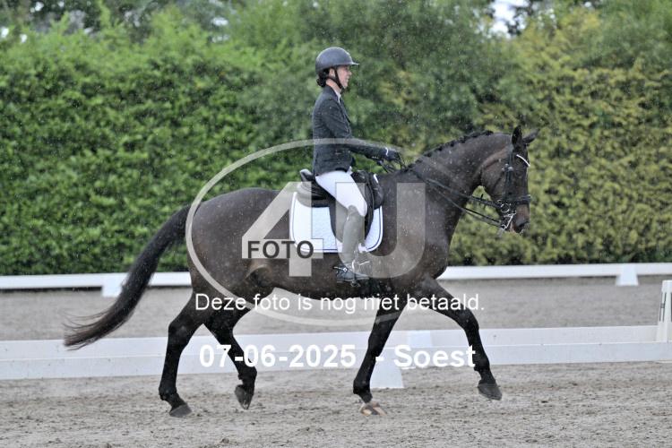 ZZL 9372