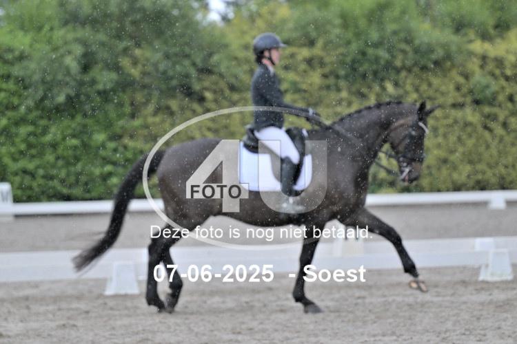 ZZL 9373