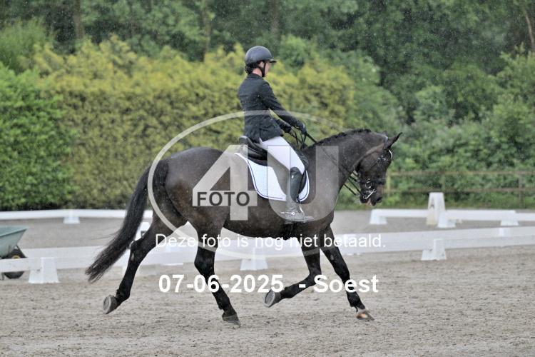 ZZL 9375