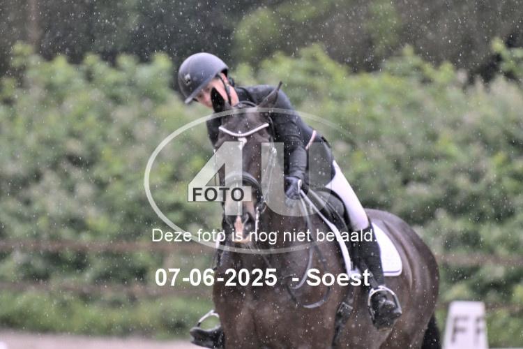 ZZL 9376