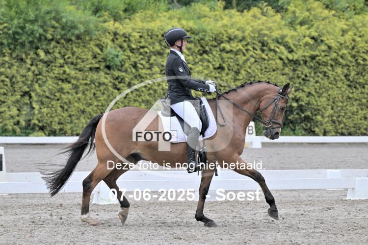 ZZL 9405