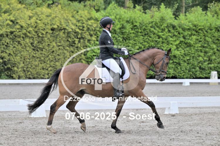ZZL 9406