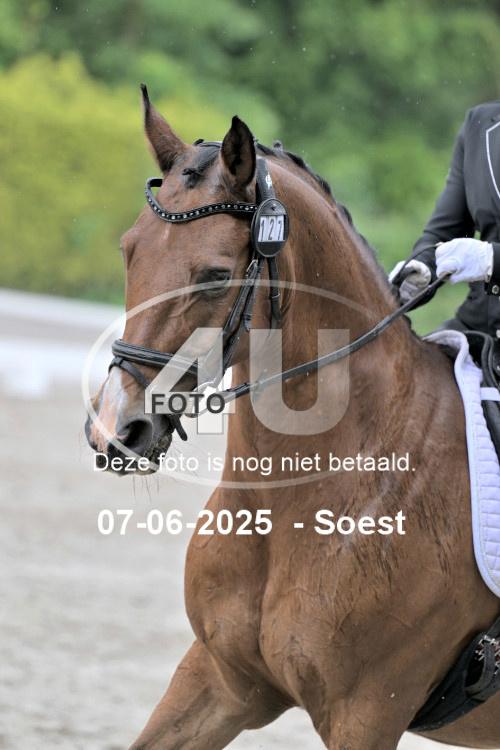ZZL 9439