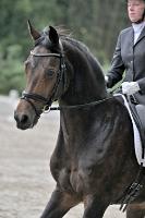 ZZL 9168