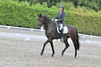 ZZL 9263