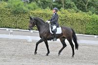 ZZL 9264