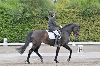 ZZL 9268