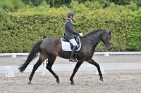 ZZL 9275