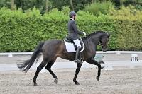 ZZL 9277