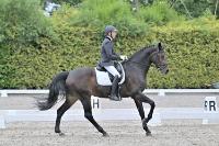 ZZL 9279