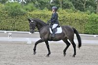 ZZL 9365