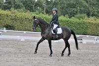 ZZL 9368