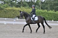 ZZL 9369