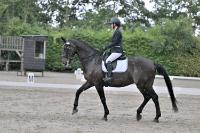 ZZL 9371