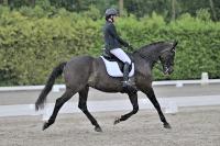 ZZL 9374