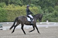 ZZL 9375