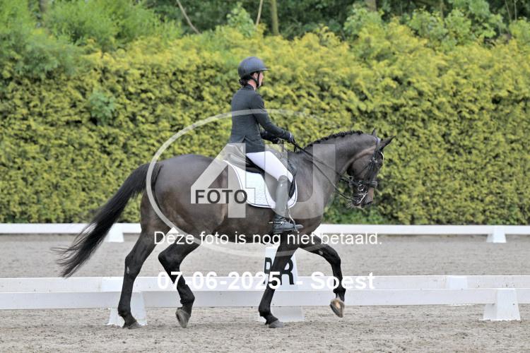 ZZL 9461