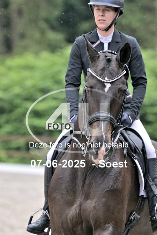 ZZL 9481