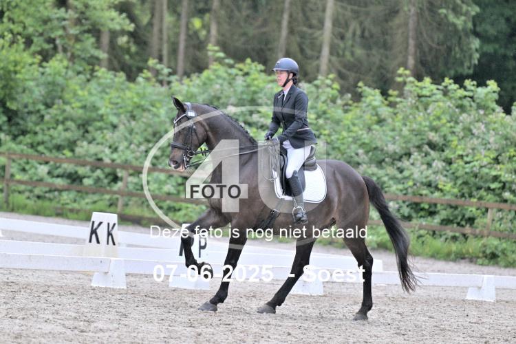 ZZL 9484