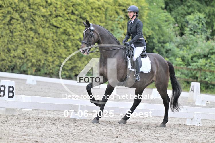 ZZL 9486