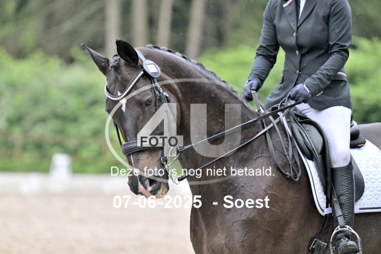 ZZL 9491