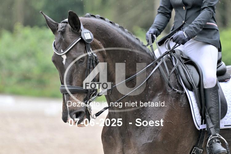 ZZL 9493