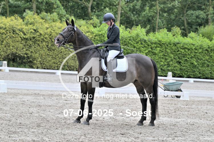 ZZL 9497
