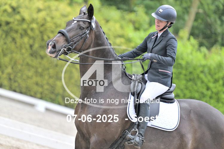 ZZL 9499