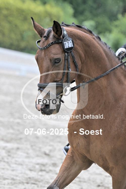 ZZL 9504