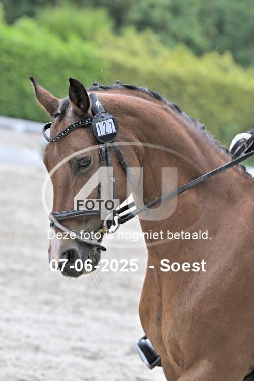 ZZL 9505