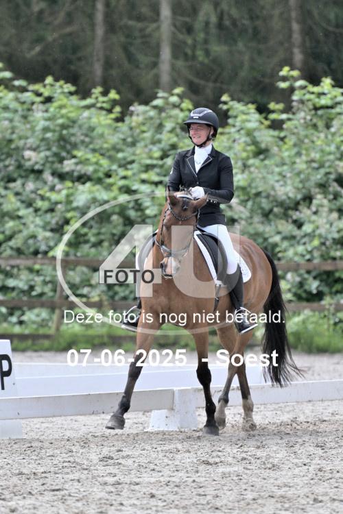 ZZL 9537
