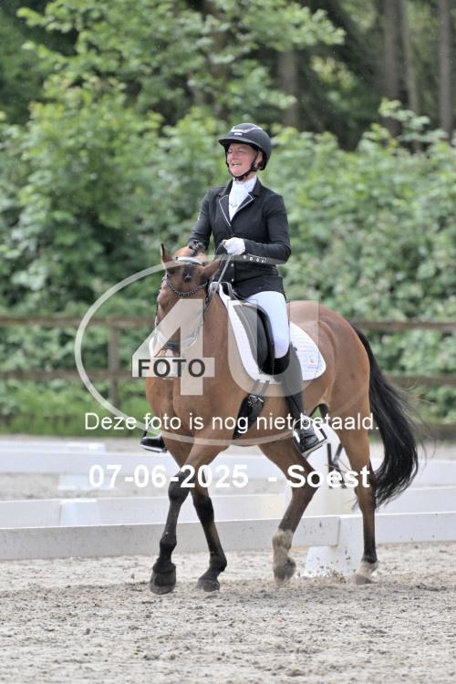 ZZL 9539