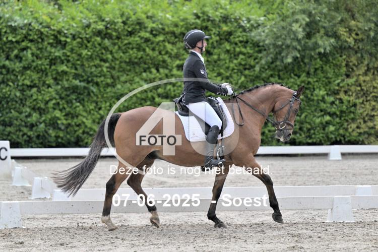 ZZL 9546
