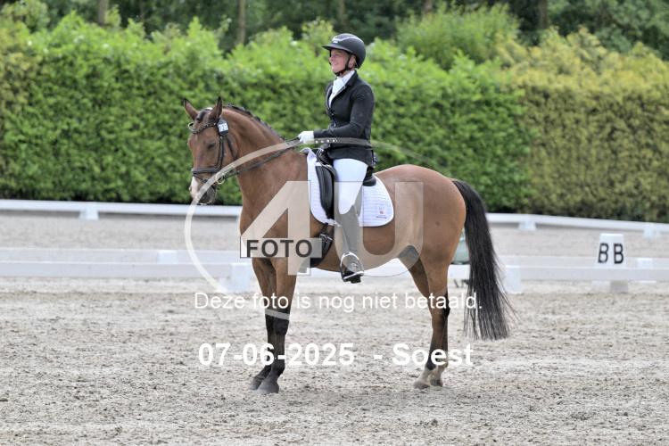 ZZL 9553