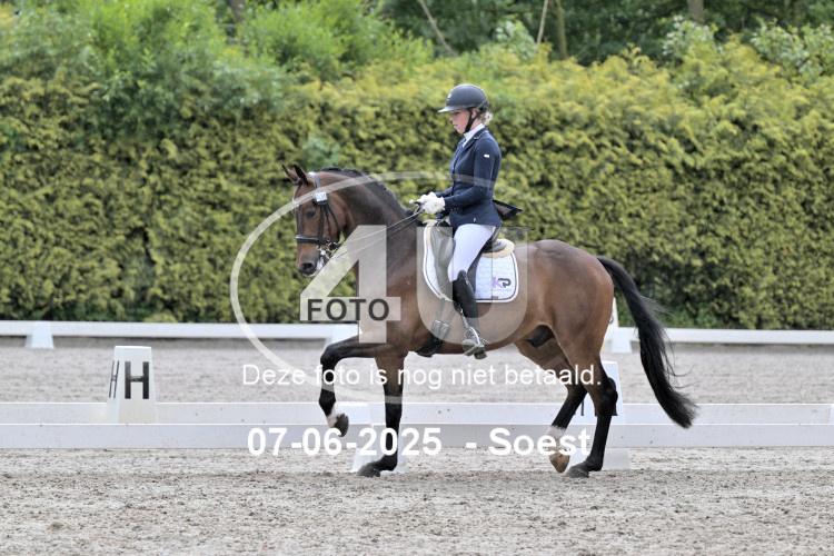 ZZL 9562