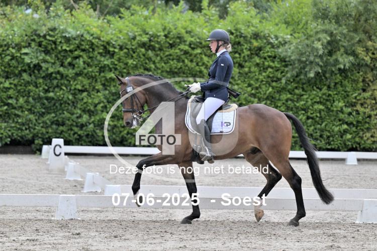 ZZL 9565
