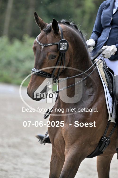 ZZL 9572