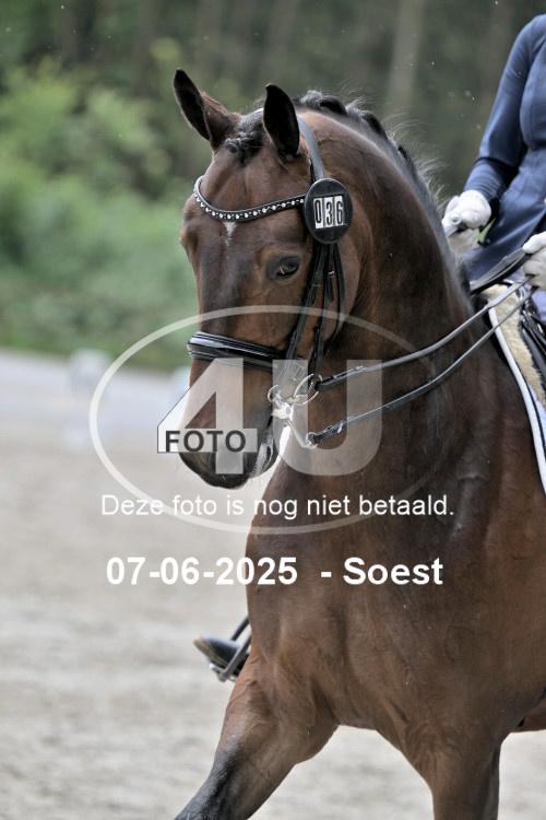 ZZL 9573