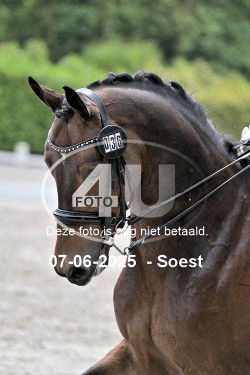ZZL 9575