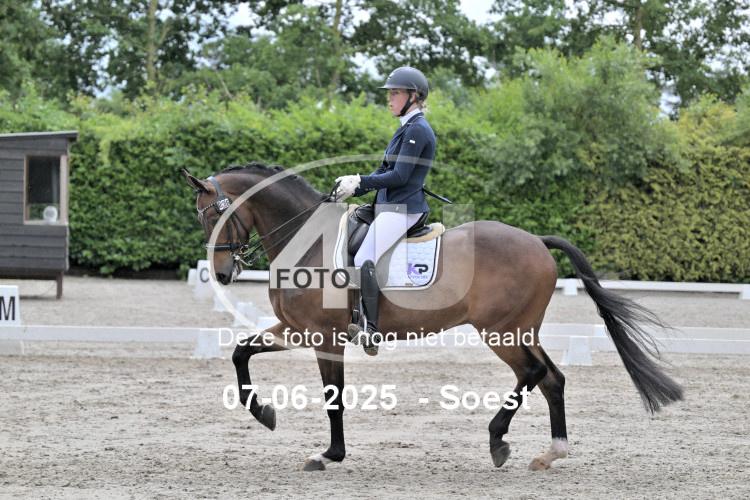ZZL 9592