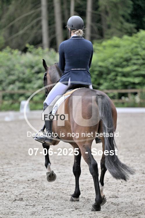 ZZL 9593