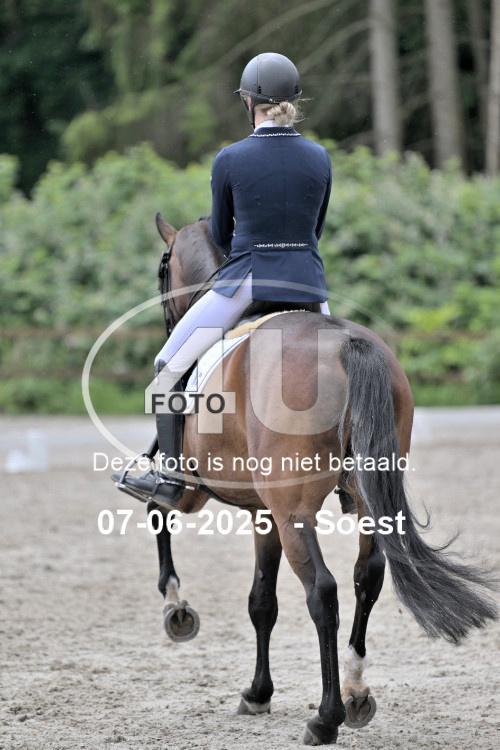 ZZL 9594