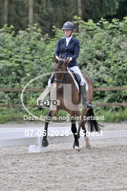 ZZL 9613