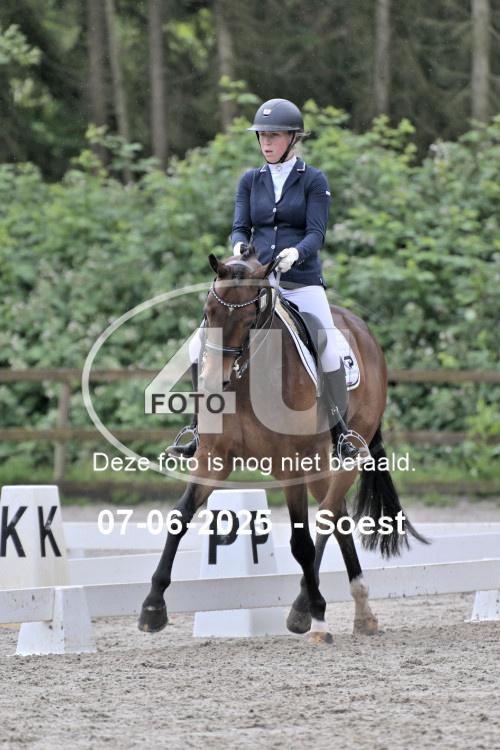 ZZL 9615