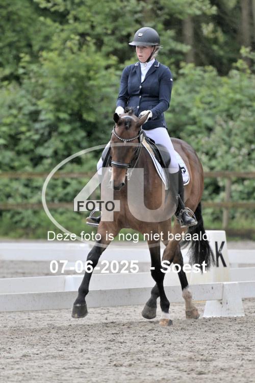 ZZL 9616