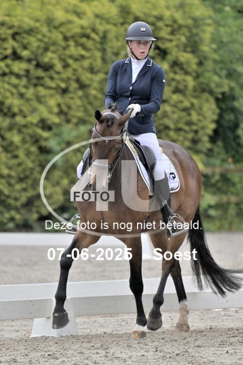 ZZL 9618
