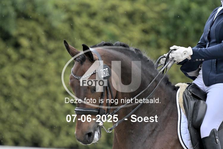 ZZL 9622