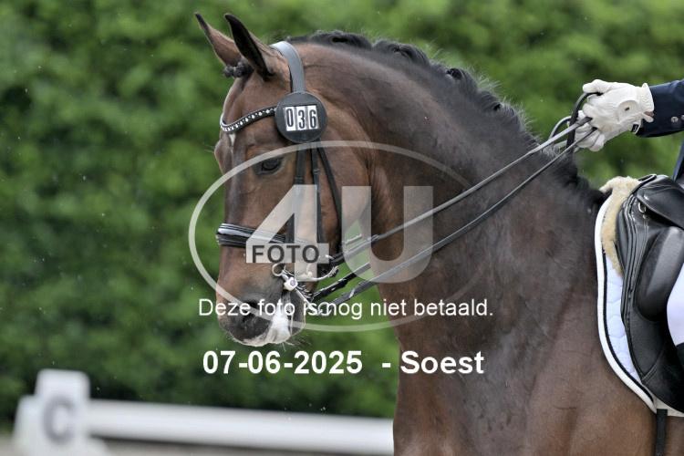 ZZL 9624